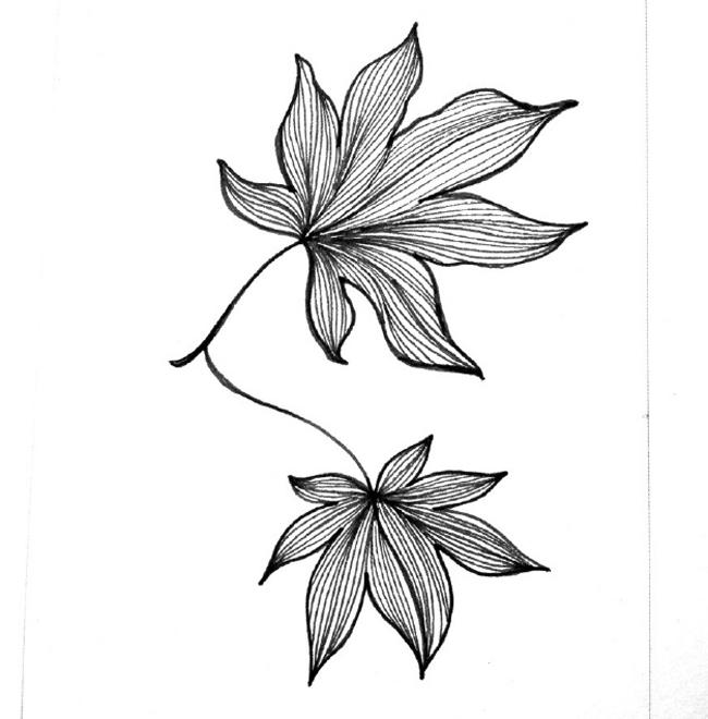 精美的植物簡筆畫大全，樹葉簡筆畫