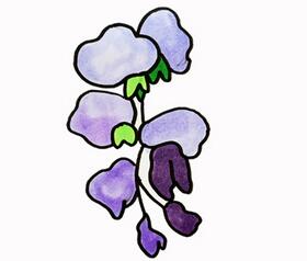 紫藤花怎么畫？