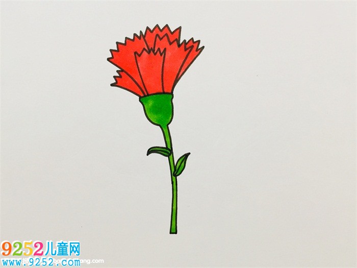 一筆一筆的教畫(huà)康乃馨