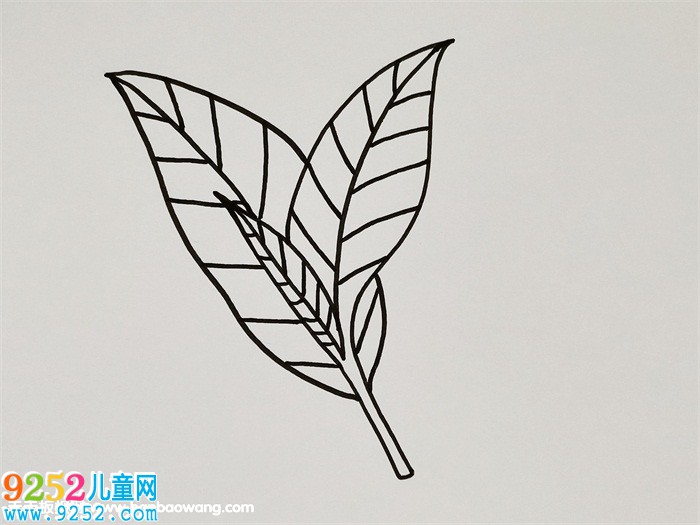 茶葉怎么畫