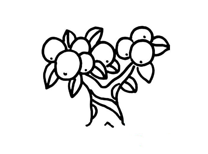 簡(jiǎn)單的果樹簡(jiǎn)筆畫大全