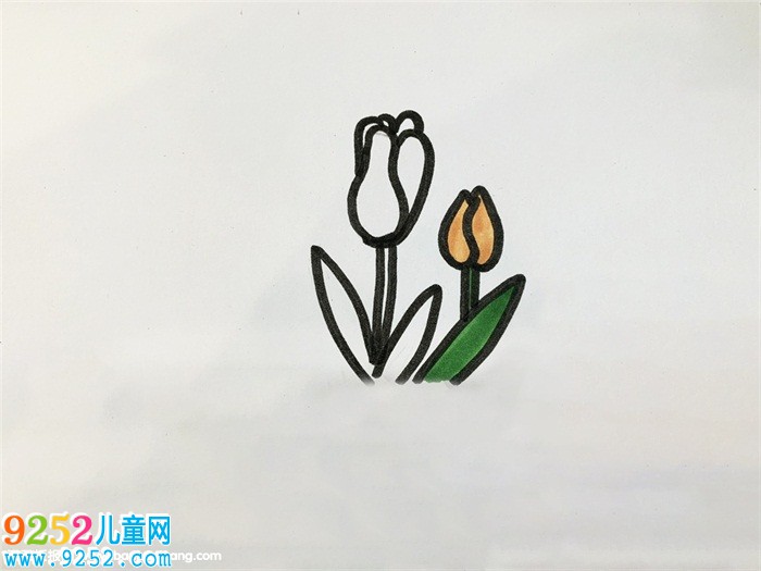 花瓣怎么畫簡(jiǎn)單好看