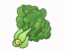 青菜怎么畫？