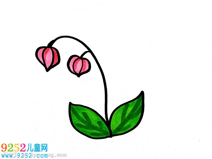 燈籠草怎么畫