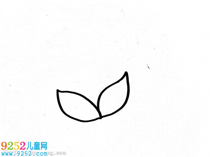 燈籠草怎么畫