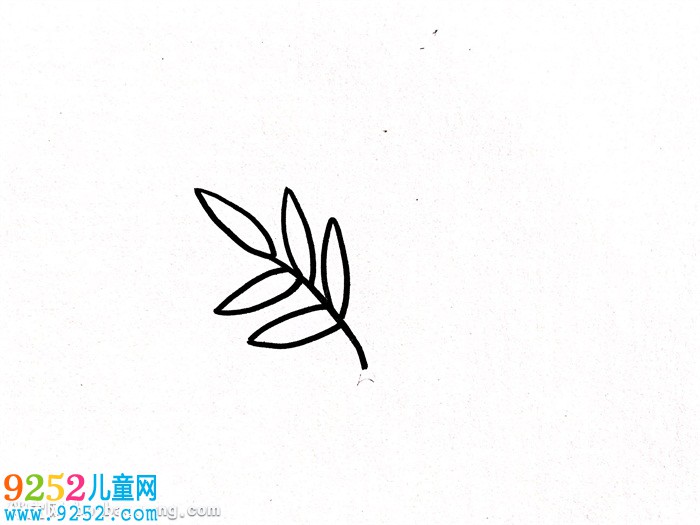 含羞草怎么畫