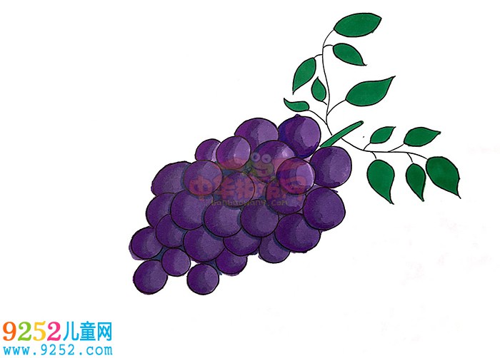 一串葡萄<a href=http://www.inspiredelm.com/jianbihua/ target=_blank class=infotextkey>簡筆畫</a>怎么畫，一串葡萄<a href=http://www.inspiredelm.com/jianbihua/ target=_blank class=infotextkey>簡筆畫</a>簡單