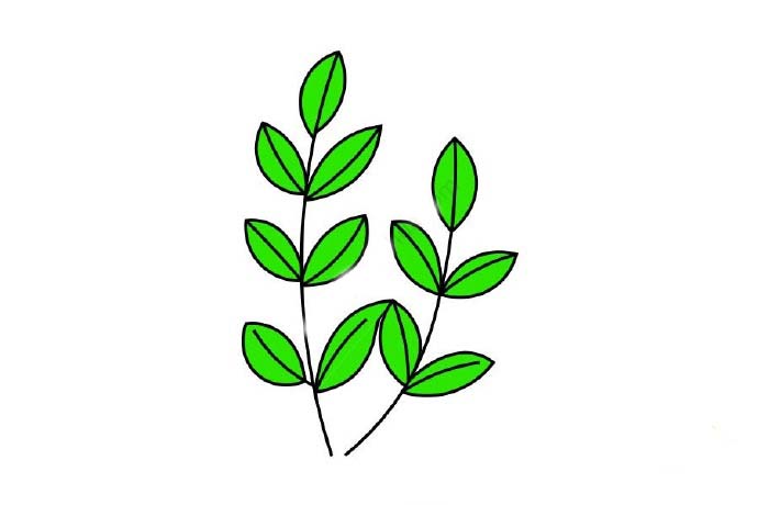 花草簡筆畫大全帶顏色，花草樹木簡筆畫彩色的