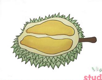 榴蓮簡筆畫