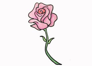 薔薇花怎么畫？