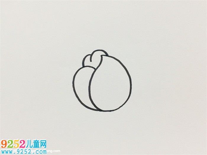 芍藥簡(jiǎn)單畫(huà)法