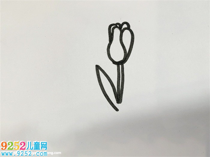 花瓣怎么畫簡(jiǎn)單好看