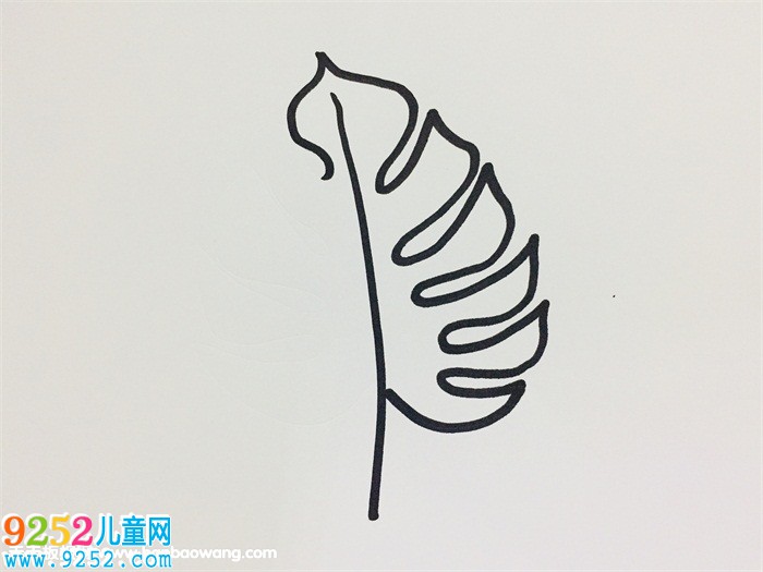 龜背竹的畫法
