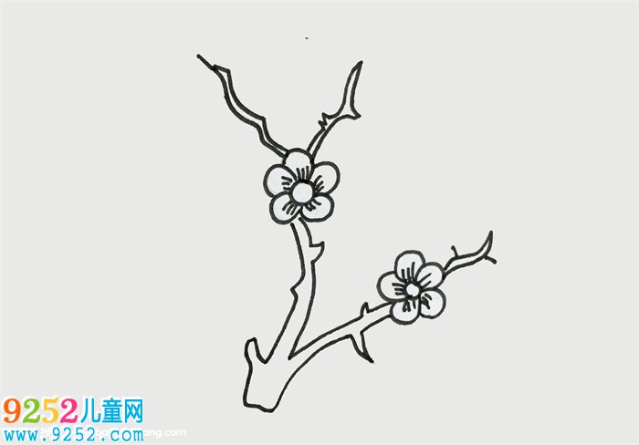 怎么畫(huà)梅花