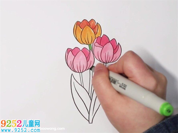 郁金香<a href=http://www.inspiredelm.com/jianbihua/ target=_blank class=infotextkey>簡筆畫</a>