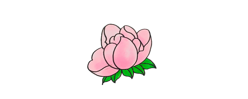 芍藥簡(jiǎn)單畫(huà)法