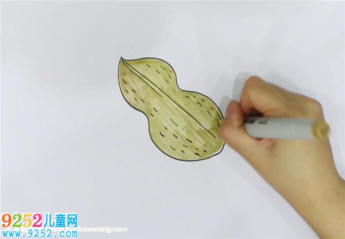 花生<a href=http://www.inspiredelm.com/jianbihua/ target=_blank class=infotextkey>簡筆畫</a>