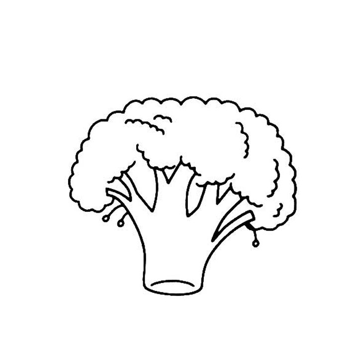 西蘭花簡筆畫