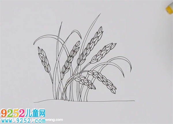 豐收的稻谷<a href=http://www.inspiredelm.com/jianbihua/ target=_blank class=infotextkey>簡筆畫</a>