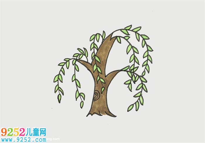 柳樹畫法