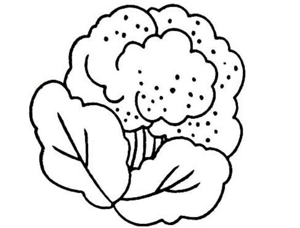 果蔬簡筆畫，西藍(lán)花梅簡筆畫