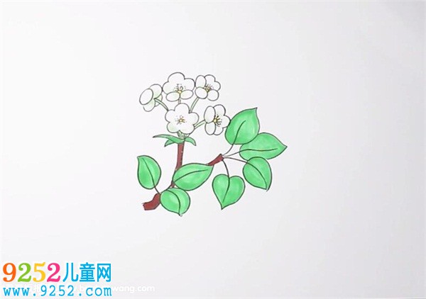 梨花<a href=http://www.inspiredelm.com/jianbihua/ target=_blank class=infotextkey>簡筆畫</a>