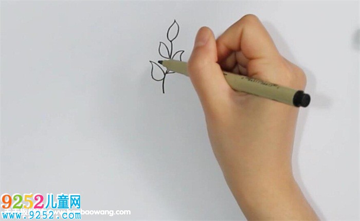 茶樹<a href=http://www.inspiredelm.com/jianbihua/ target=_blank class=infotextkey>簡筆畫</a>,植物<a href=http://www.inspiredelm.com/jianbihua/ target=_blank class=infotextkey>簡筆畫</a>,樹葉<a href=http://www.inspiredelm.com/jianbihua/ target=_blank class=infotextkey>簡筆畫</a>