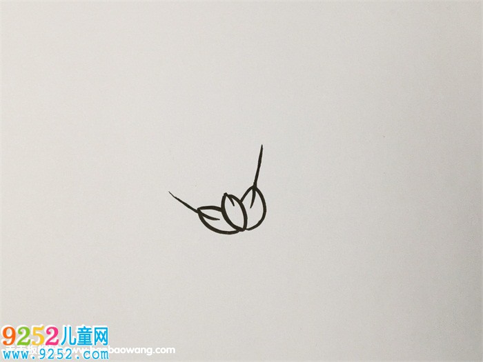 秋天成熟的麥穗<a href=http://www.inspiredelm.com/jianbihua/ target=_blank class=infotextkey>簡筆畫</a>