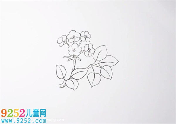 梨花<a href=http://www.inspiredelm.com/jianbihua/ target=_blank class=infotextkey>簡筆畫</a>