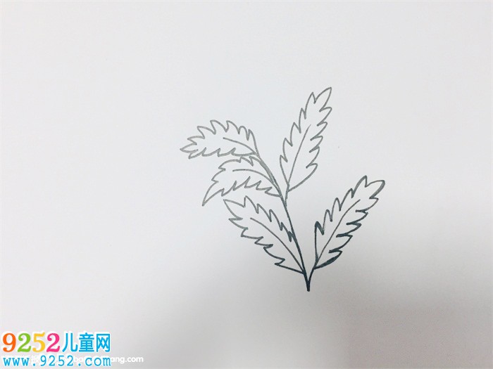 艾草怎么畫(huà)