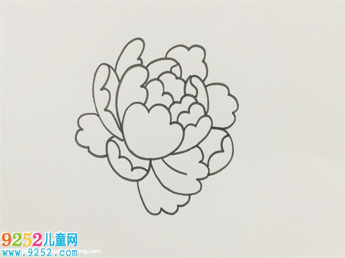 一筆一筆的教畫牡丹花