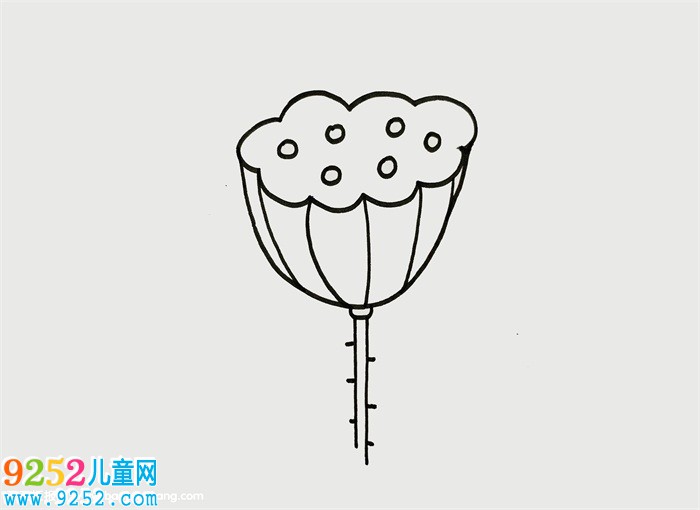 蓮蓬怎么畫