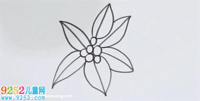 冬青<a href=http://www.inspiredelm.com/jianbihua/ target=_blank class=infotextkey>簡(jiǎn)筆畫(huà)</a>