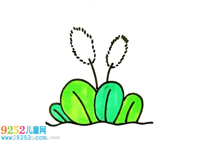 狗尾巴草怎么畫