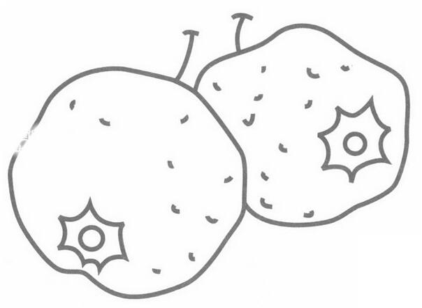 水果簡(jiǎn)筆畫圖片，山楂簡(jiǎn)筆畫