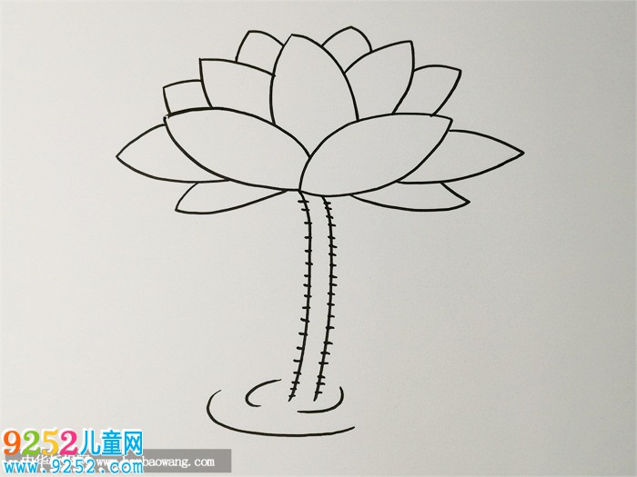 荷花怎么畫簡單又漂亮