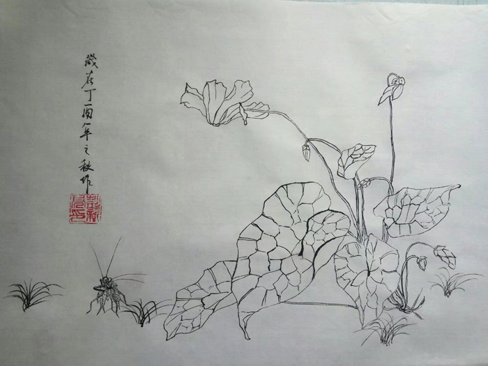植物簡筆畫圖片，漂亮的花朵