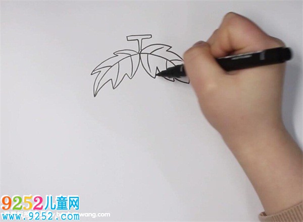 葡萄<a href=http://www.inspiredelm.com/jianbihua/ target=_blank class=infotextkey>簡(jiǎn)筆畫</a>