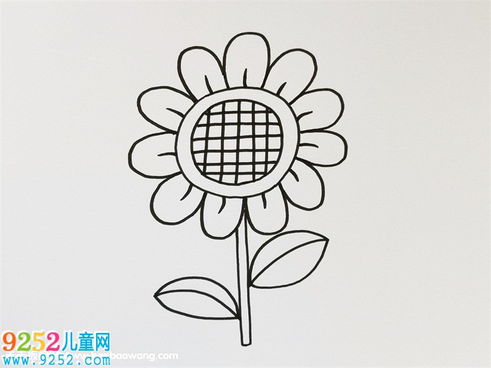向日葵<a href=http://www.inspiredelm.com/jianbihua/ target=_blank class=infotextkey>簡筆畫</a>彩色