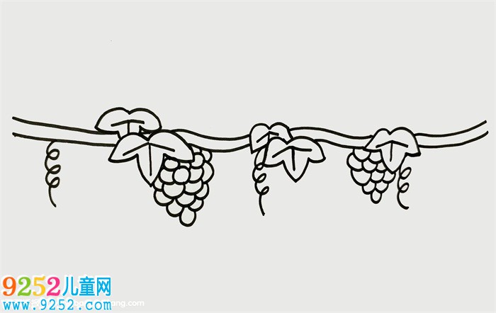 葡萄樹怎么畫