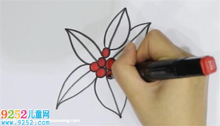 冬青<a href=http://www.inspiredelm.com/jianbihua/ target=_blank class=infotextkey>簡(jiǎn)筆畫(huà)</a>