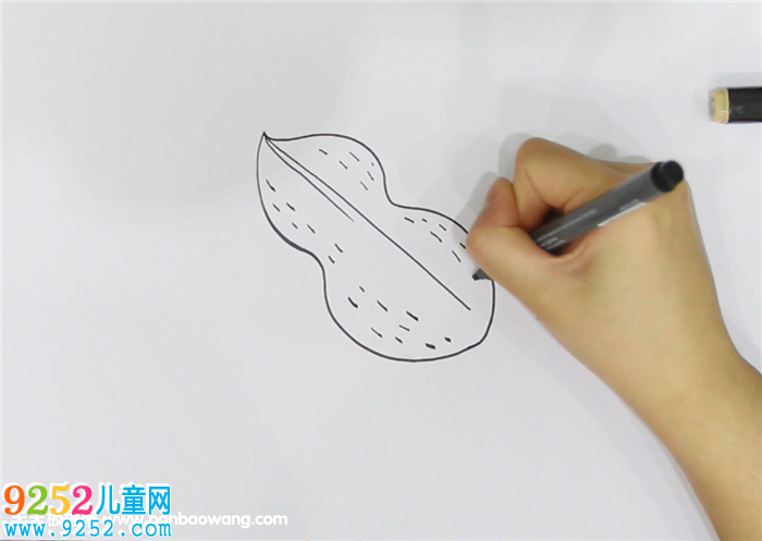 花生<a href=http://www.inspiredelm.com/jianbihua/ target=_blank class=infotextkey>簡筆畫</a>