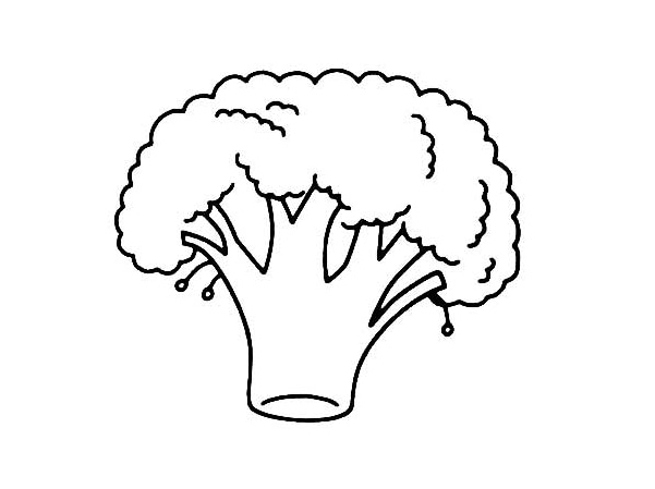 教你畫西蘭花