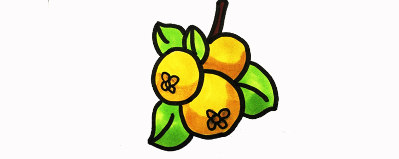 怎樣畫(huà)枇杷