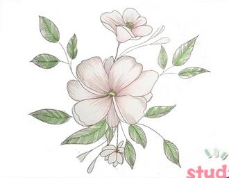 花怎么畫？