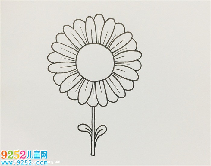 雛菊怎么畫