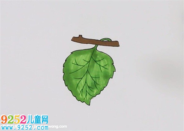 桑葉<a href=http://www.inspiredelm.com/jianbihua/ target=_blank class=infotextkey>簡筆畫</a>
