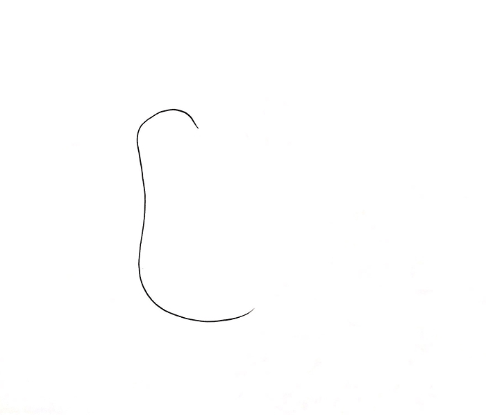 梨<a href=http://www.inspiredelm.com/jianbihua/ target=_blank class=infotextkey>簡筆畫</a>
