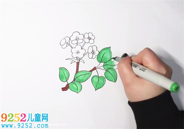 梨花<a href=http://www.inspiredelm.com/jianbihua/ target=_blank class=infotextkey>簡筆畫</a>