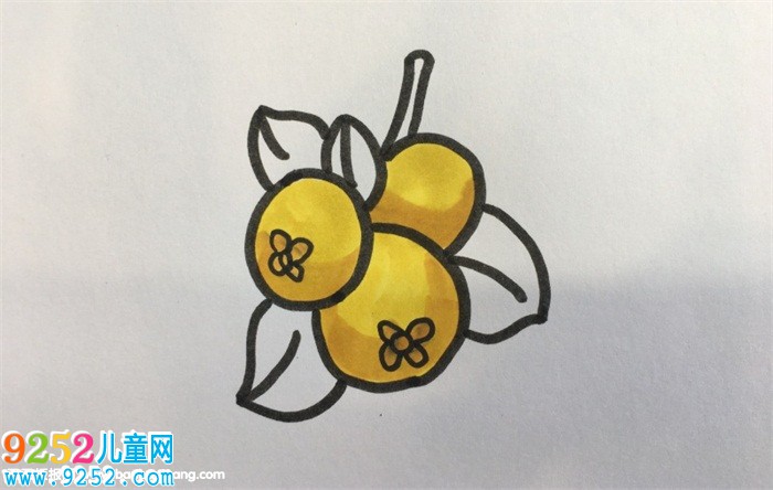 怎樣畫(huà)枇杷